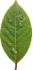Eco2